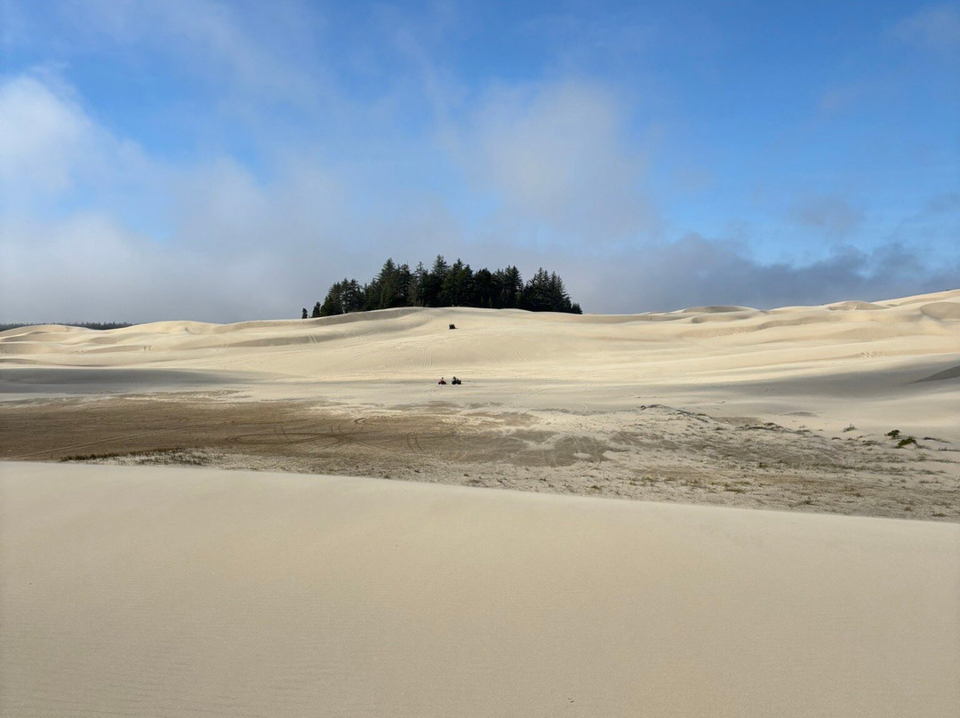 Torex ATV Rentals-弗洛伦斯必去景点