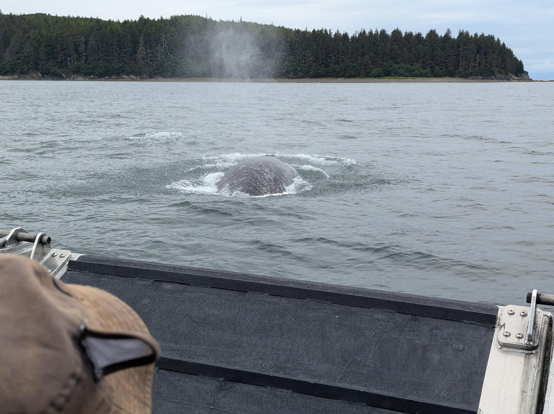 Juneau Lighthouse Tours-朱诺必去景点