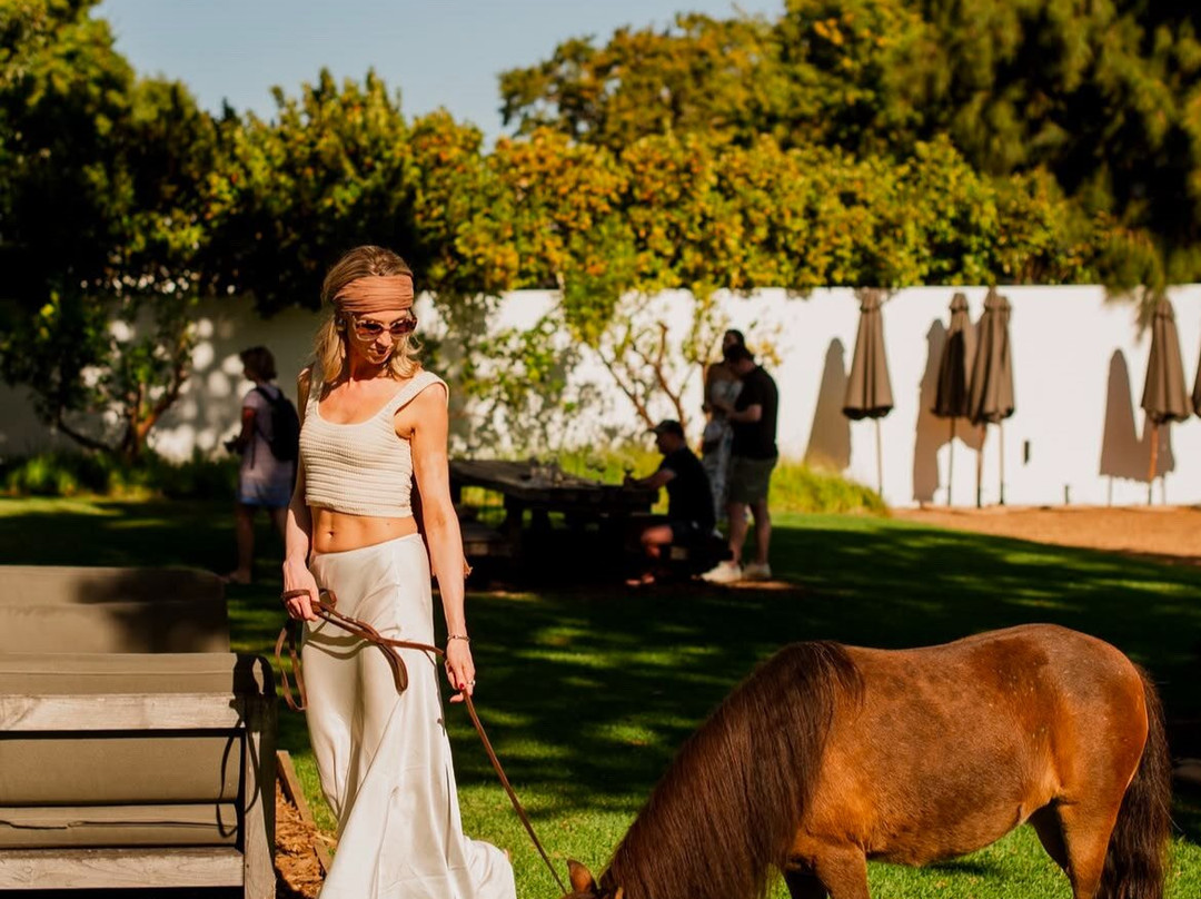 MAISON Estate Franschhoek-法兰舒克必去景点