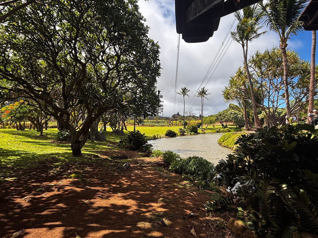 Maui Zipline Company-怀露库必去景点