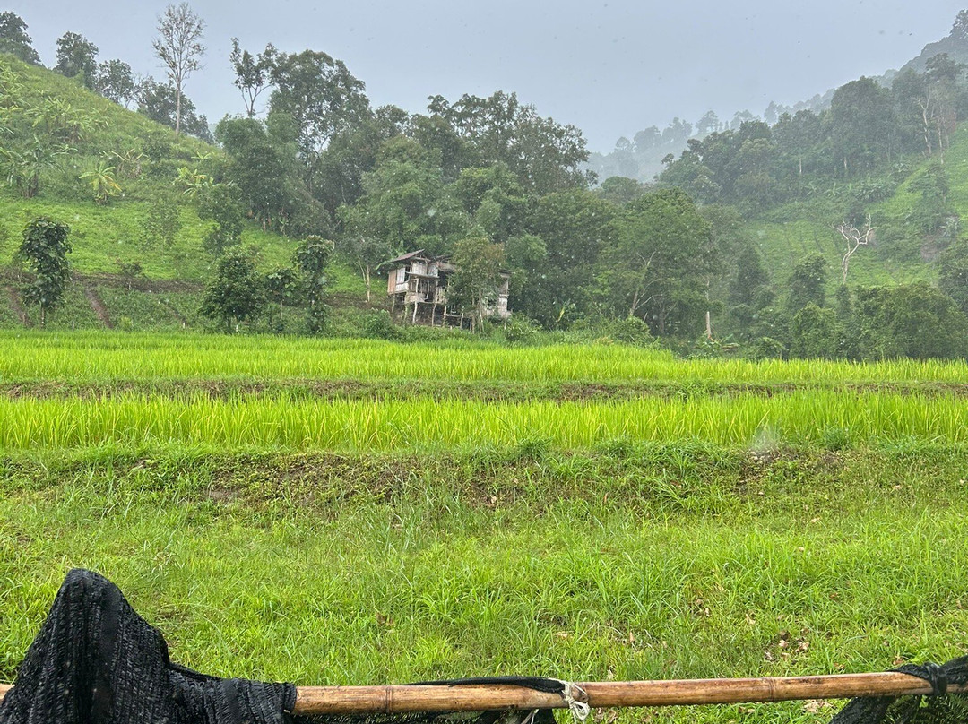 Loolu Tour - Private Day Tours-清迈必去景点