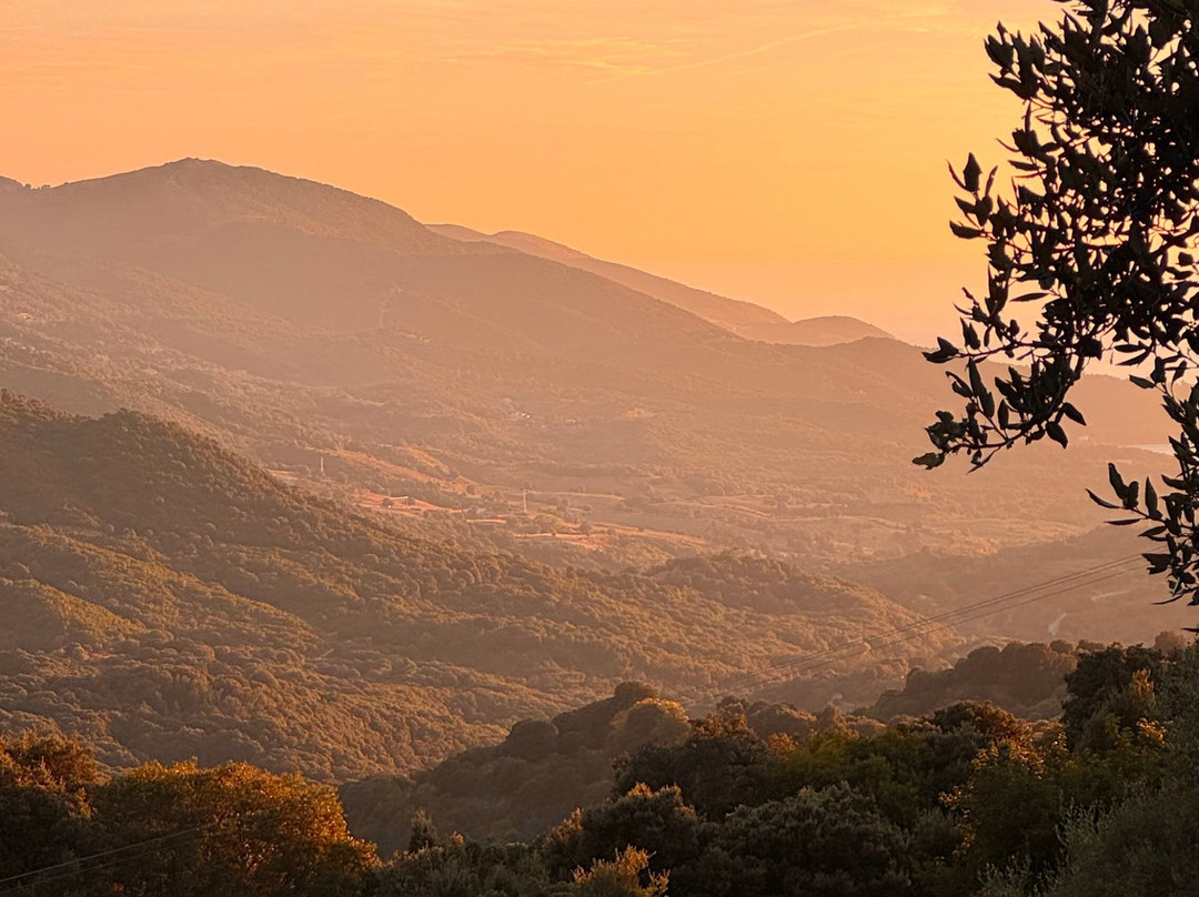 Terre de Maquis主图