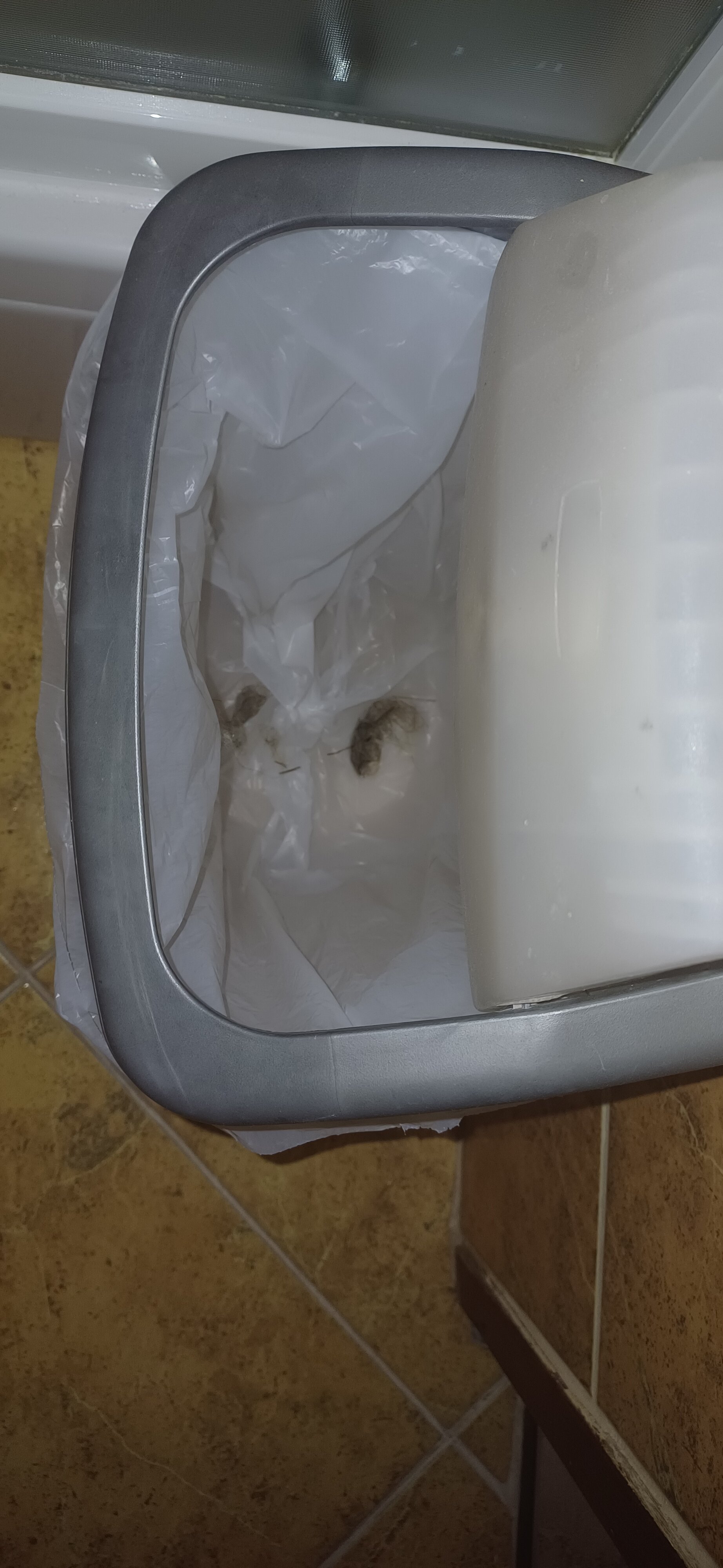 Hotel Zlatna Ribica-官方