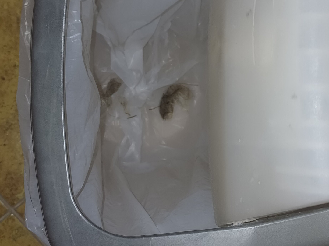 Hotel Zlatna Ribica主图