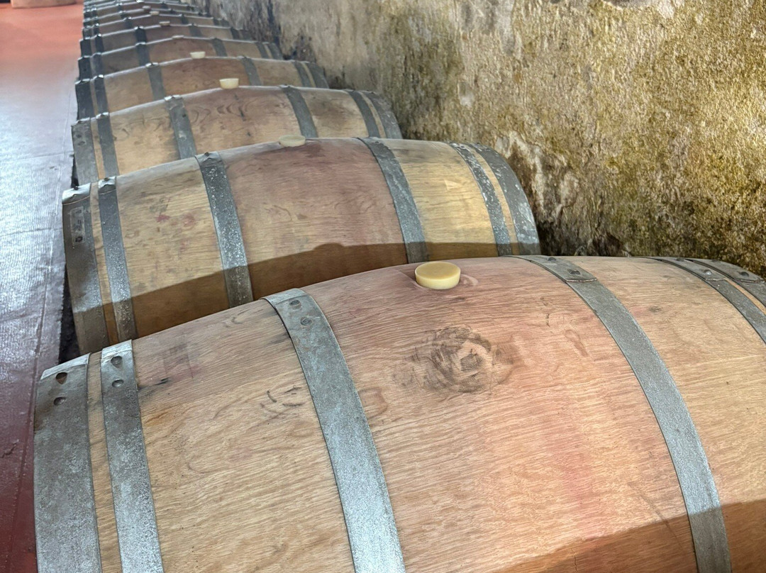 Tenuta Di Ghizzano-Ghizzano必去景点