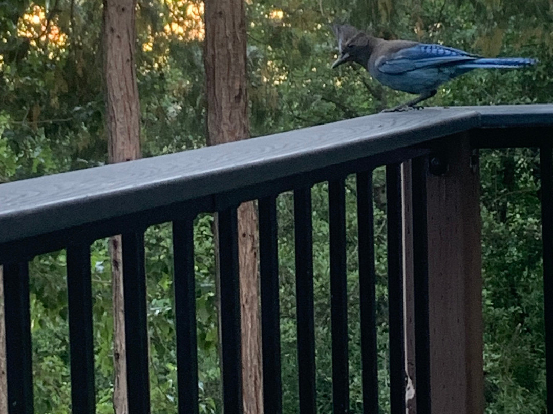 优胜美地大溪住宿加早餐旅馆主图