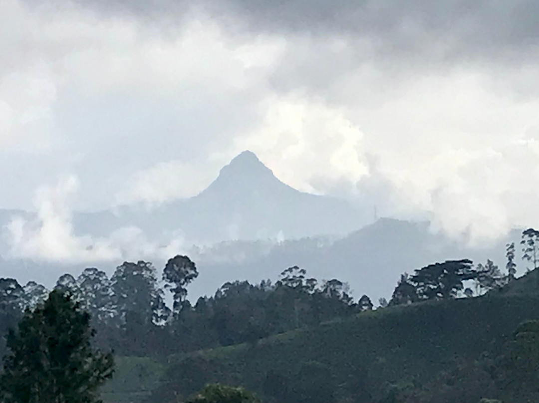 总督府酒店主图