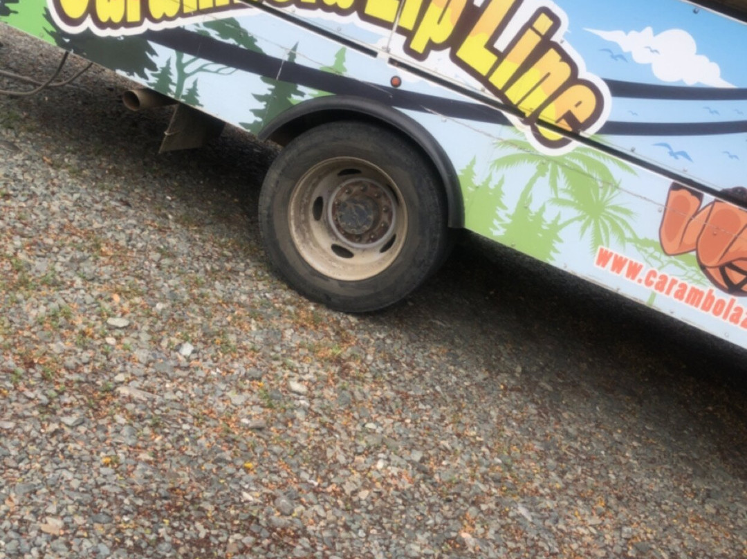 Carambola Zip Line-Frederiksted必去景点