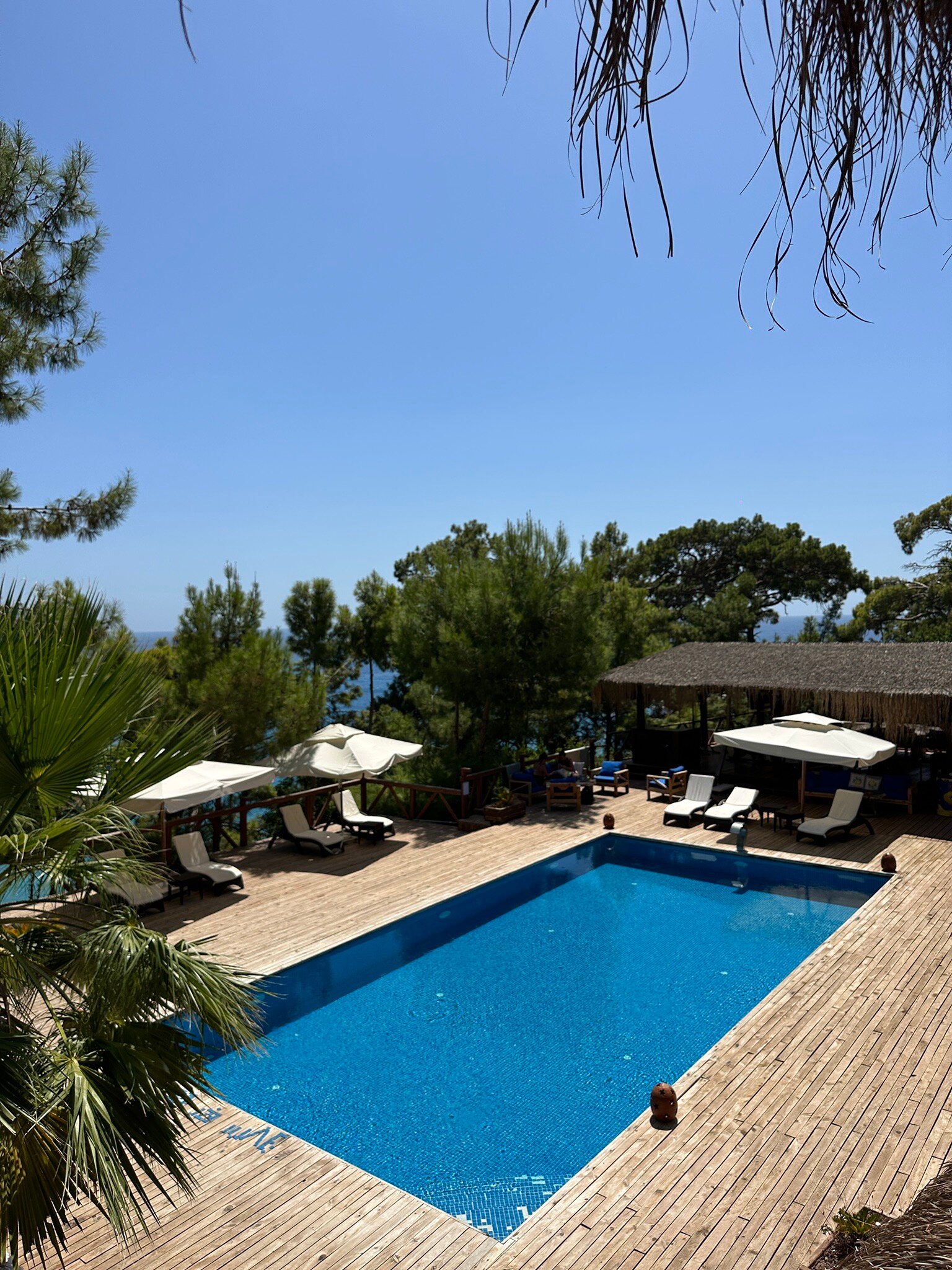 La Boheme Kabak-官方