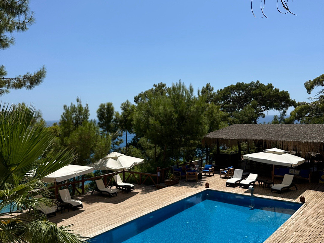 La Boheme Kabak主图