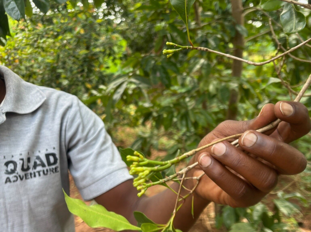 Zanzibar Quad Adventure-基万嘎必去景点