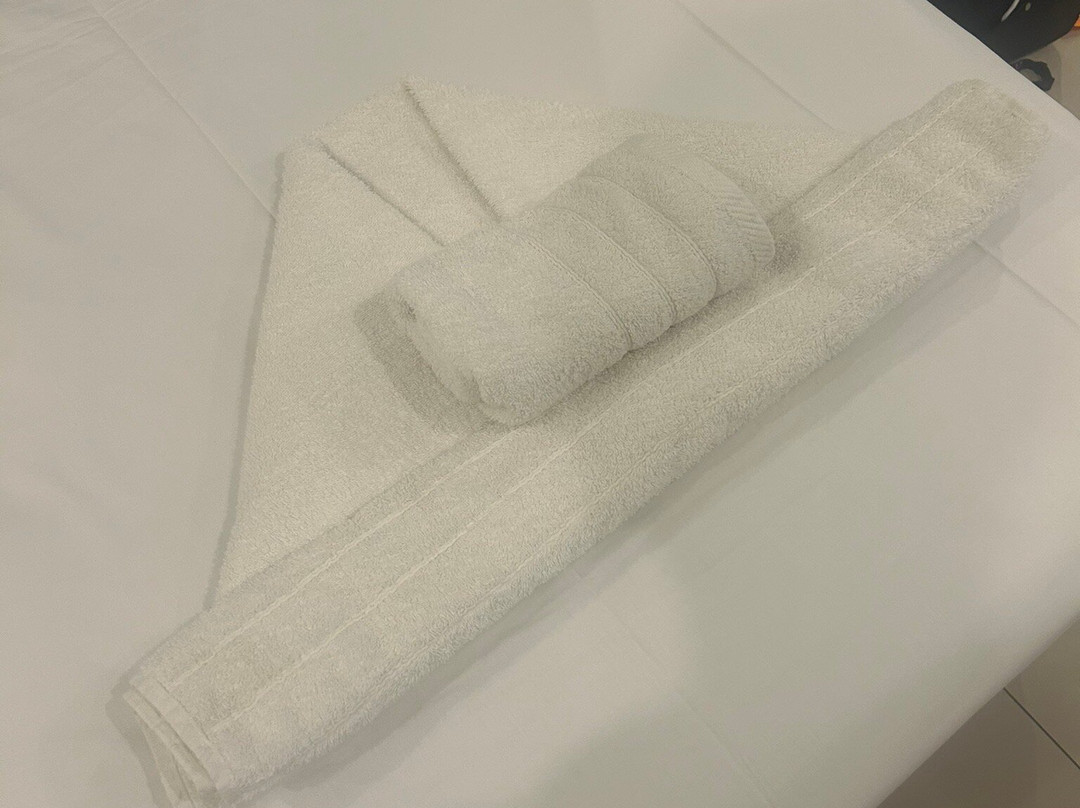 Papillon Hotel主图