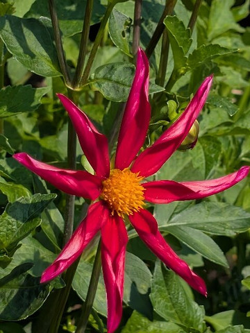 GOOD: Stories in Food-布里斯托尔必去景点