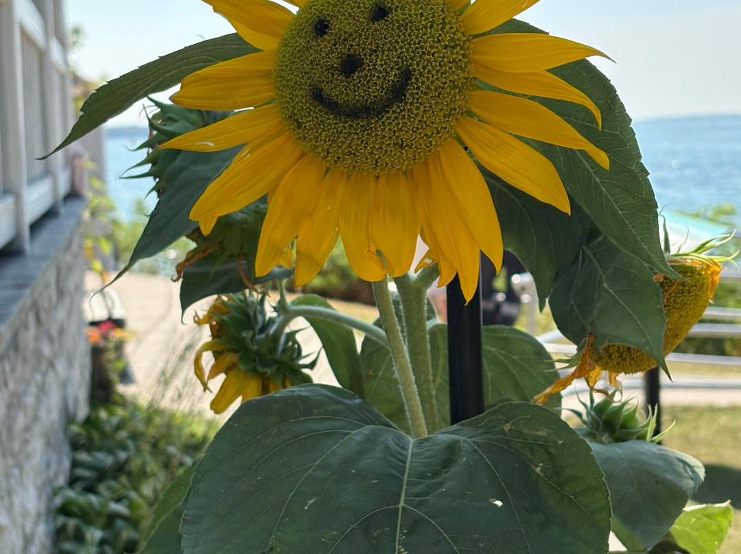 Clayton Island Tours-Clayton必去景点