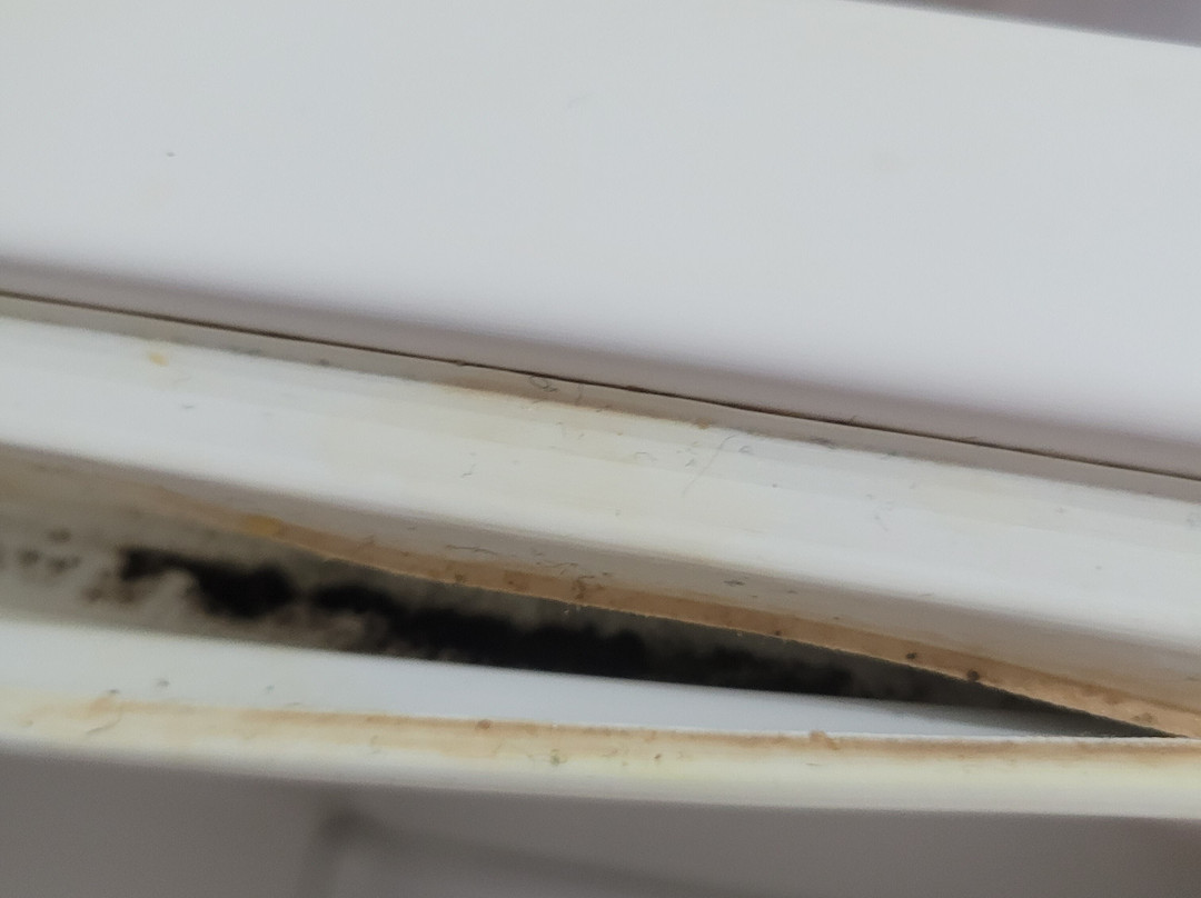 Old Windmill Studios主图