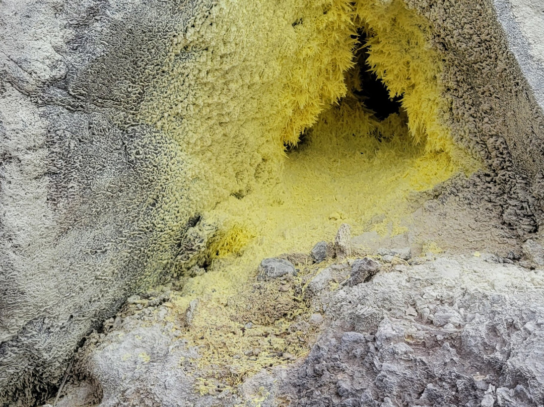 La Soufriere Volcano-Saint-Claude必去景点