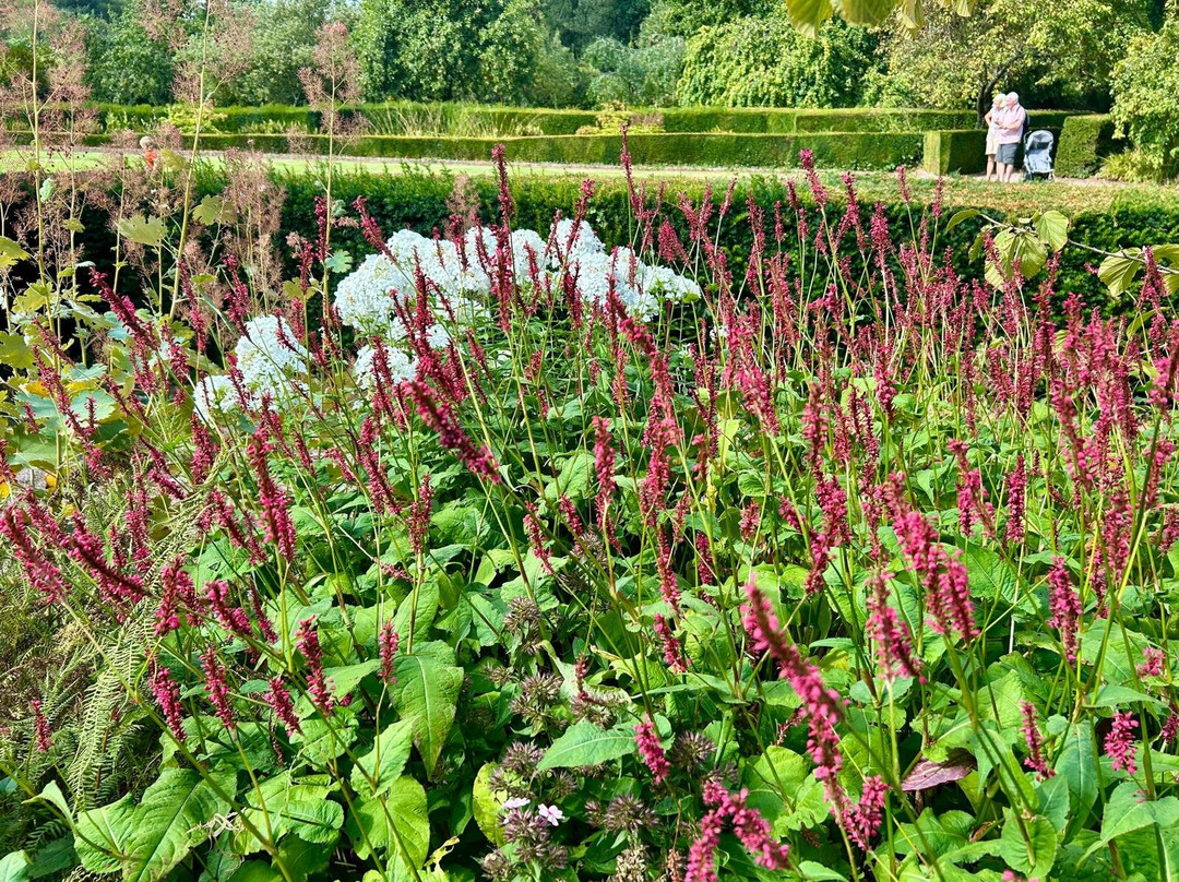 Norton Priory Museum and Gardens-朗科恩必去景点