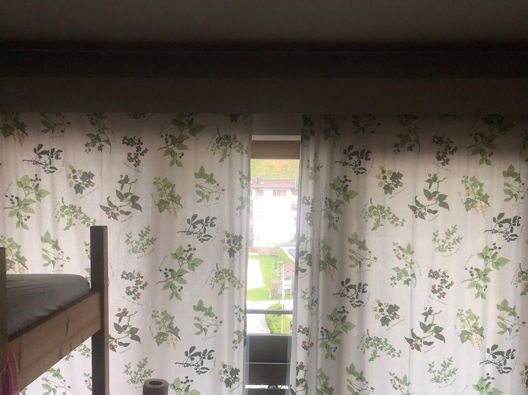 Schwarzer Adler主图