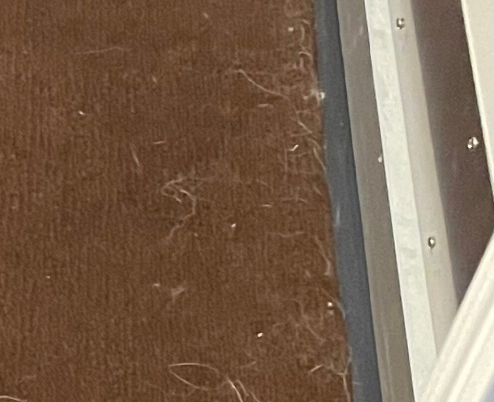 La Quinta Inn & Suites by Wyndham Dickinson主图