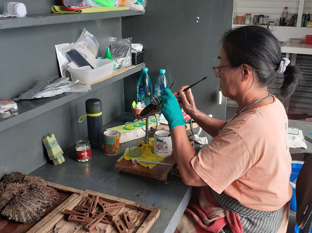 Civa Pearl Farm-塔韦乌尼岛必去景点