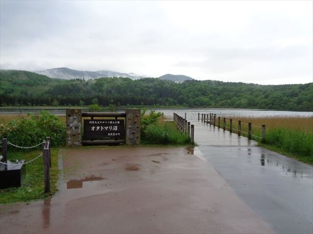 Otatomari Swamp-利尻富士町必去景点