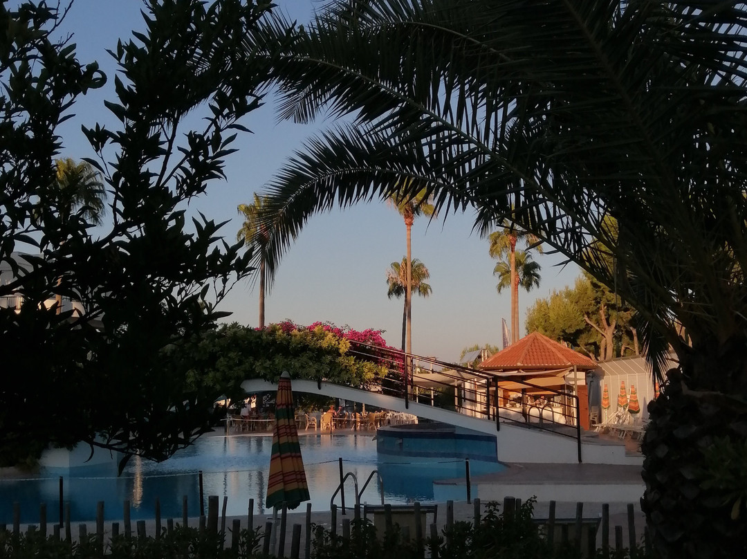 Oasiclub Hotel主图