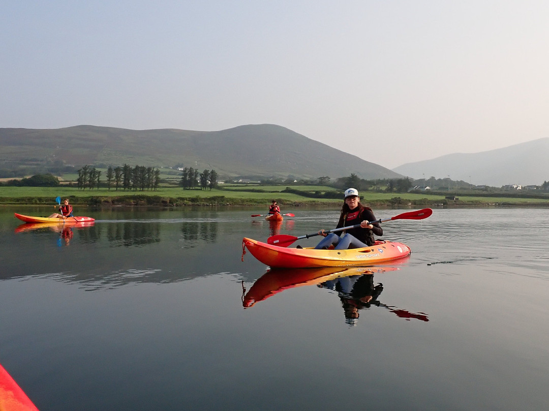 Sea Synergy Marine Awareness and Activity Centre-Cahersiveen必去景点