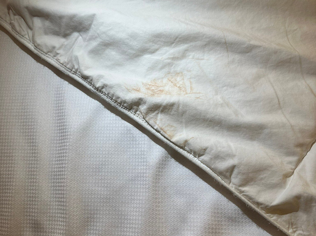 Comfort Suites主图