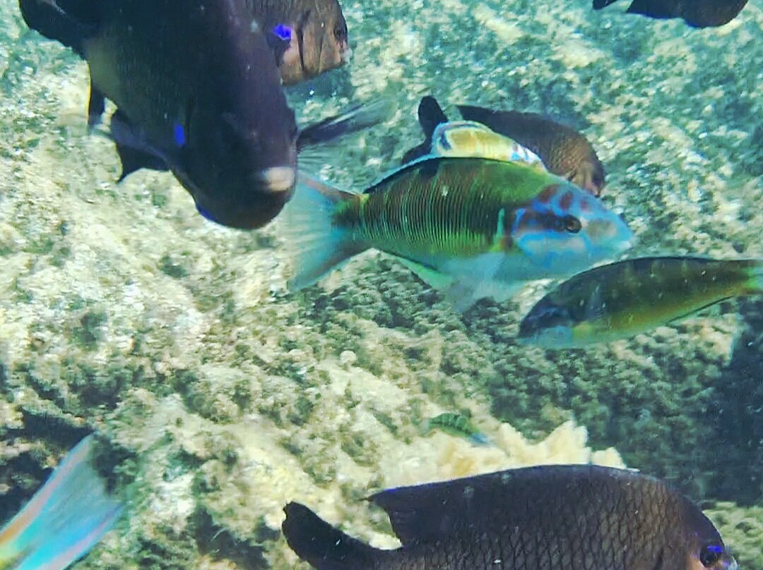 Playa De Montaña Roja-布兰卡滩必去景点