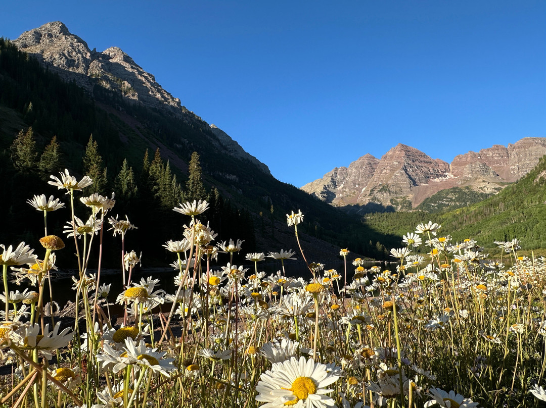 褐铃山-阿斯蓬必去景点