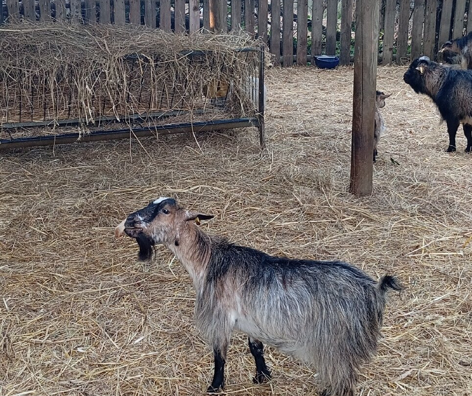 Parco Gallorose-Cecina必去景点