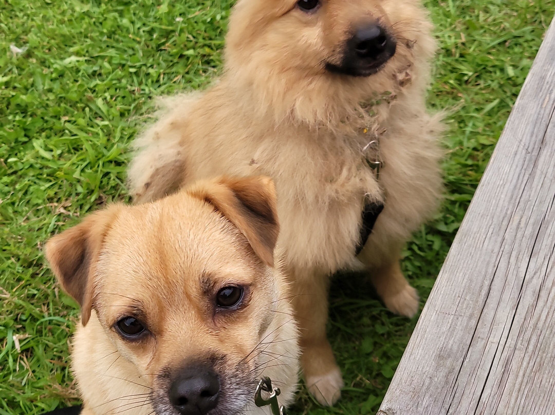 Glamping At Wallops Wood主图