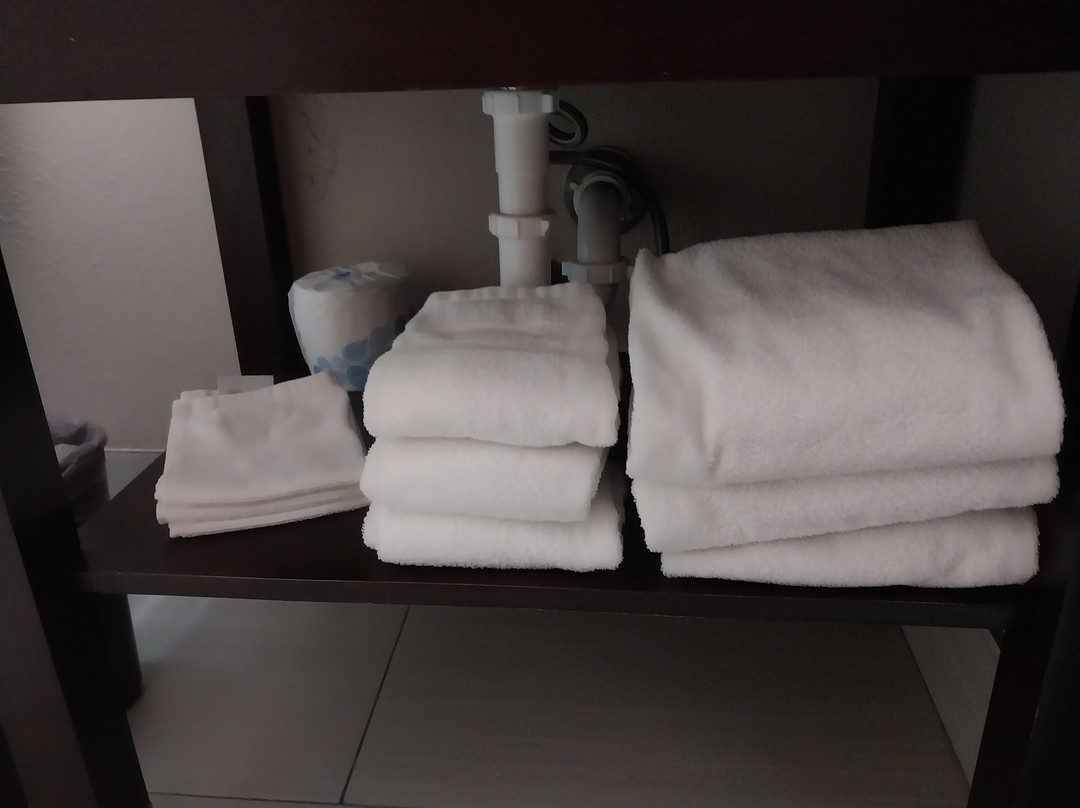 Super 8 by Wyndham Indianapolis/Emerson Ave主图