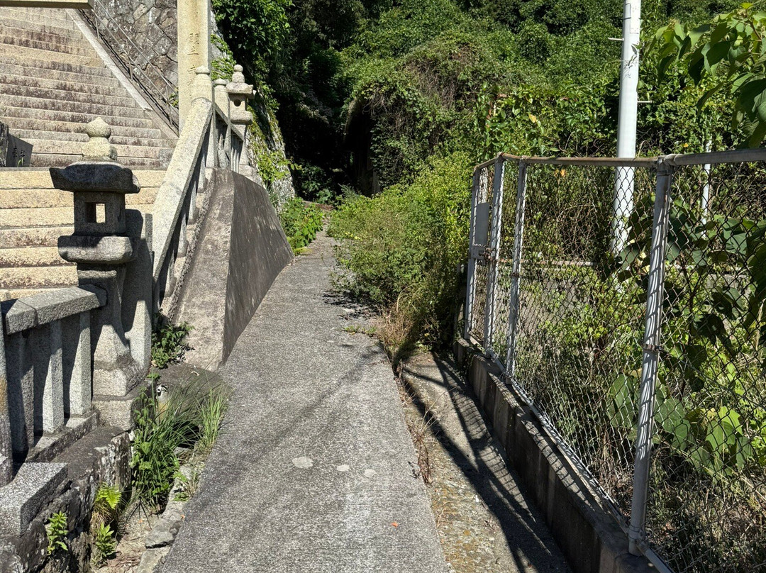 Ainoshima Island-新宫町必去景点