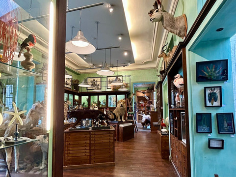 天牛-巴黎必去景点