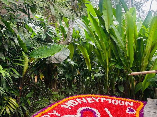 Sacred Canyon Ubud by GenuineHost