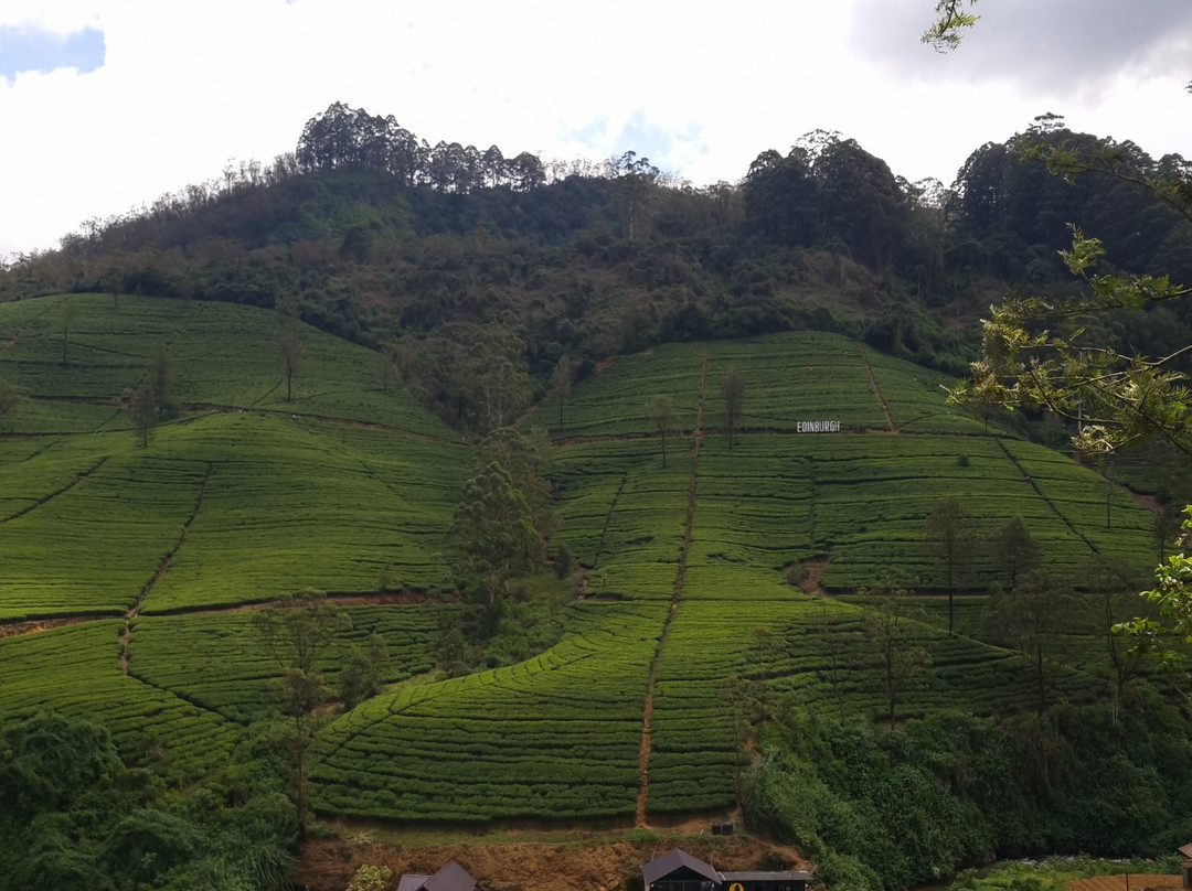 Leo Eco Tours Sri Lanka-Godagama必去景点