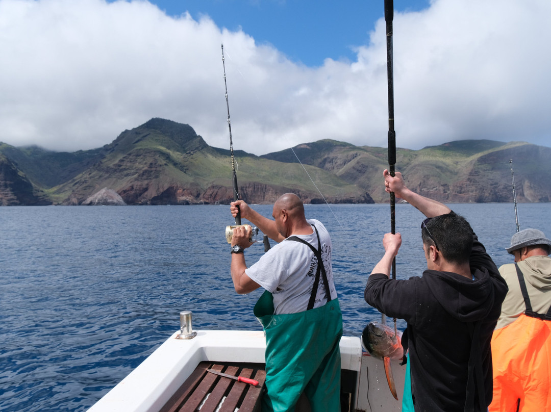 Wicked Wahoo St Helena-Jamestown必去景点