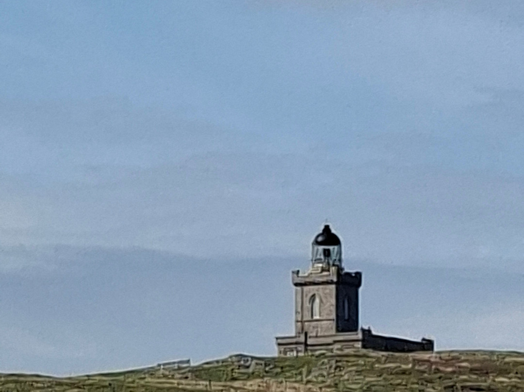 Isle Of May Boat Trips-Anstruther必去景点