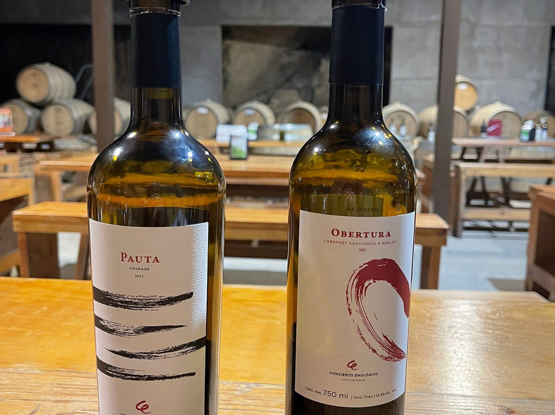 Concierto Enológico-Ejido El Porvenir必去景点