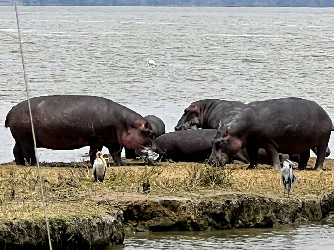Travel Partners Safari-阿鲁沙必去景点
