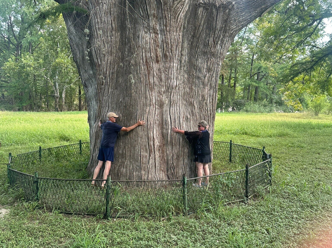 Frio River Private Access-Concan必去景点