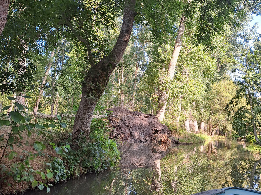 Embarcadere Cardinaud - Marais poitevin-Nouvelle-Aquitaine必去景点