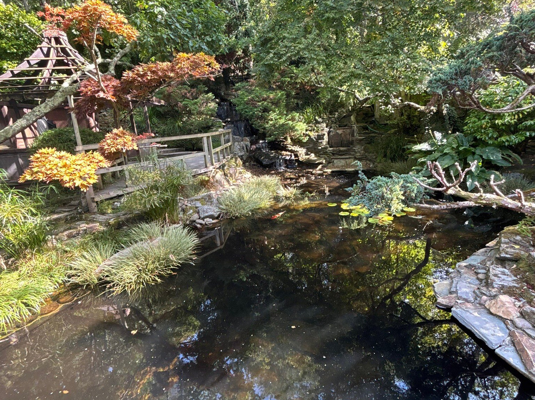 The Japanese Garden-St. Mawgan必去景点