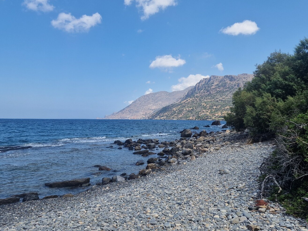 Seaesta On The Beach