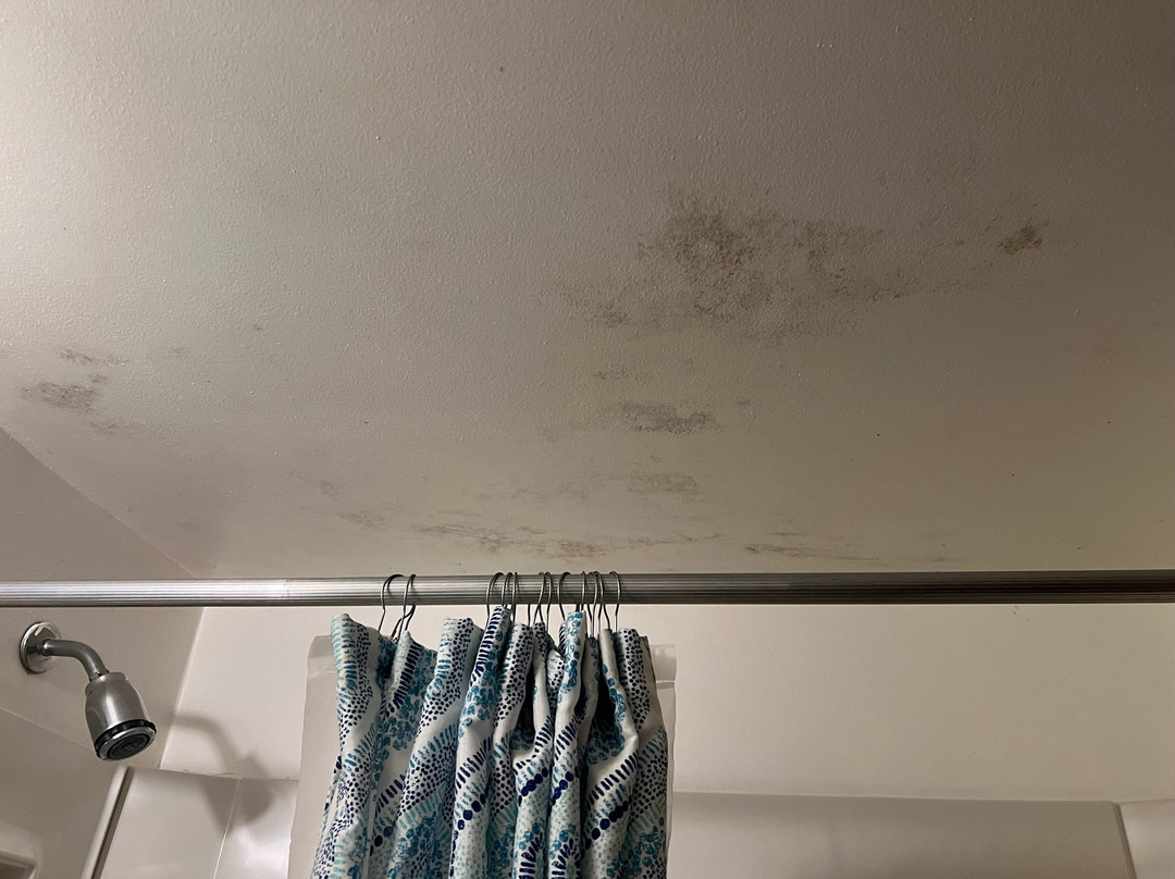 Roundtop Mountain Vista - Cabins and Motel主图