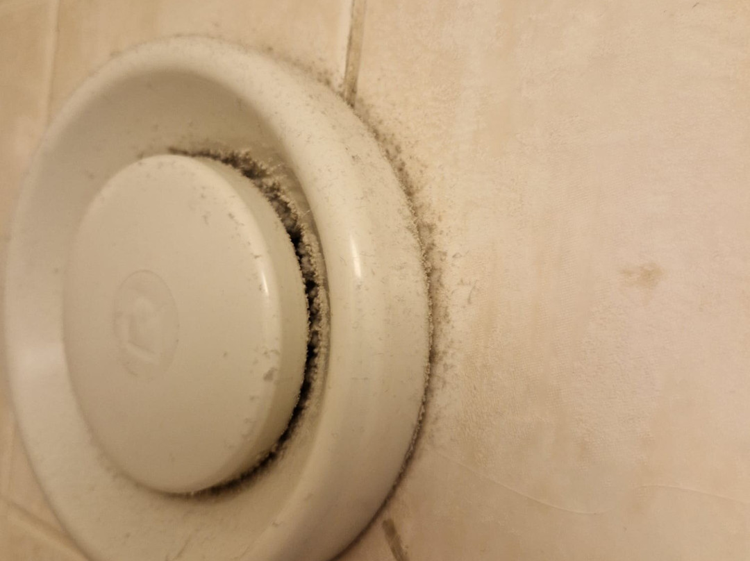 Summio Vakantiepark Emslandermeer主图