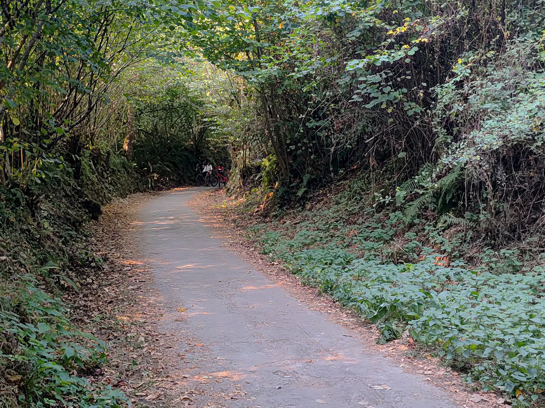 TeverAstur Senda del Oso-Teverga Municipality必去景点