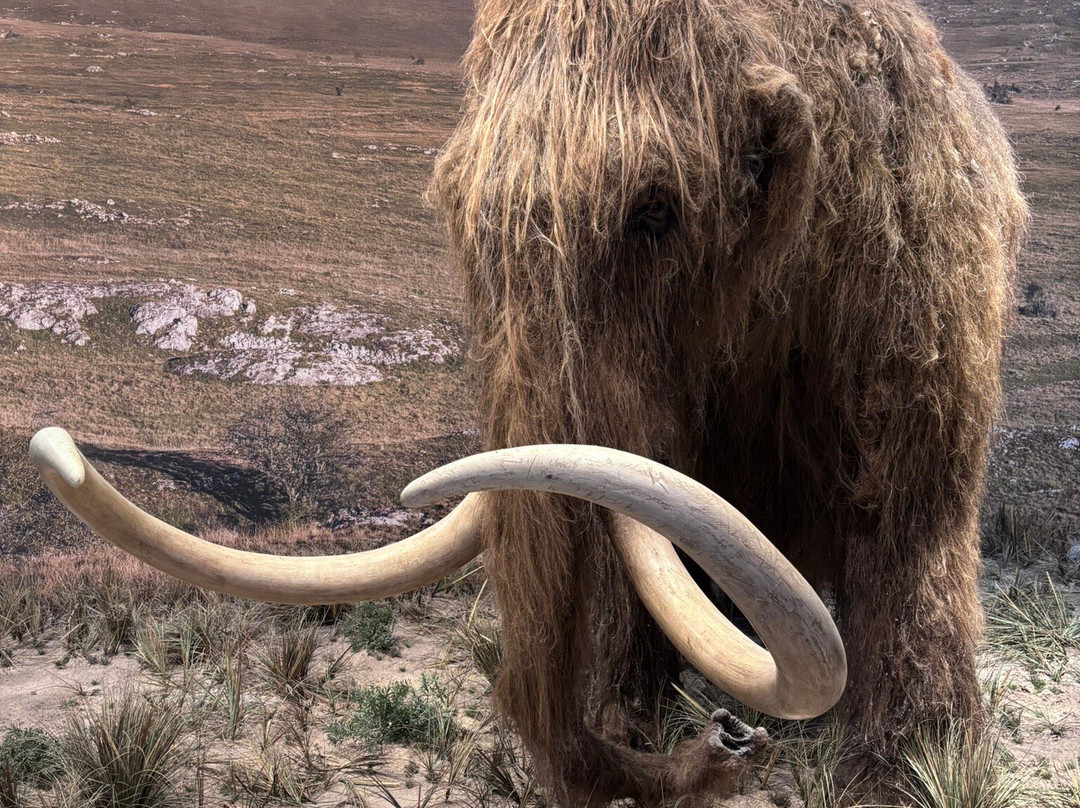 Grotte Chauvet 2 Ardèche-瓦隆蓬达尔克必去景点