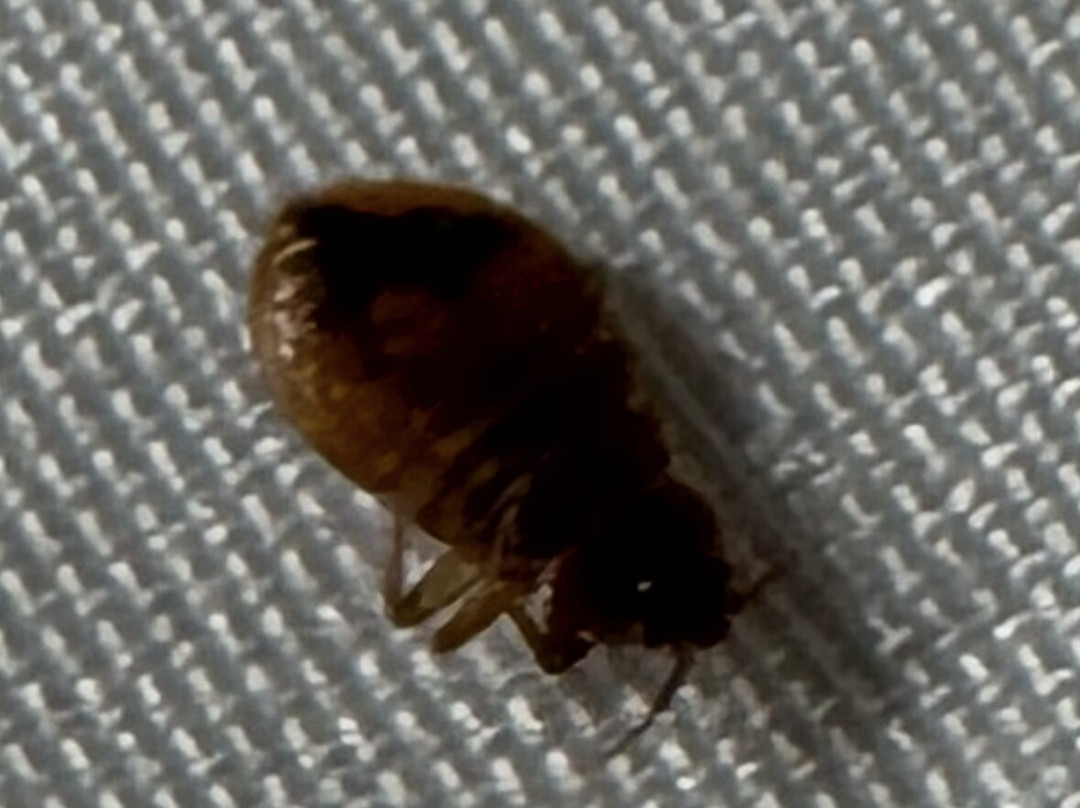 Quality Inn Stuart主图